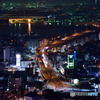 夜の動脈