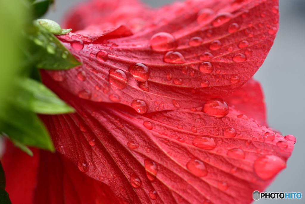 雨滴１