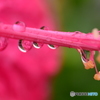 雨滴３