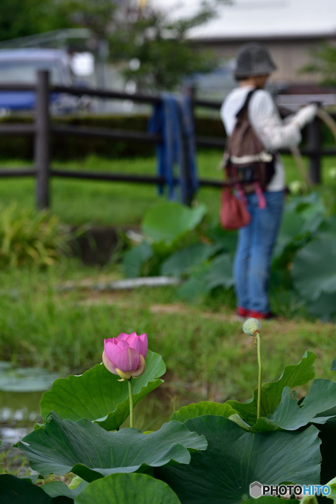 はすのある公園