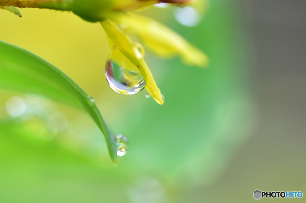 雨滴２