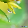 雨滴２