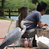 釣れますか
