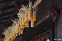 軒下の秋