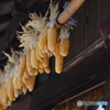 軒下の秋
