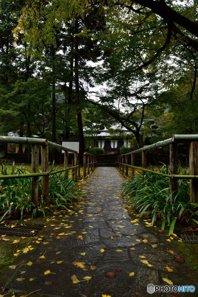 晩秋の庵