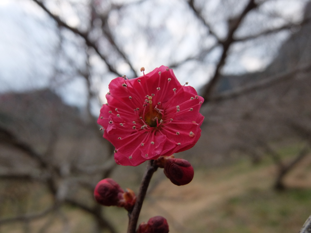 会いに来てくれてありがとう