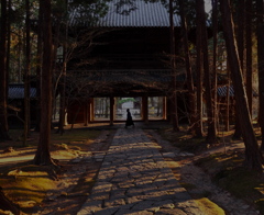 斜陽