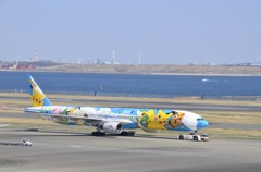 飛行機