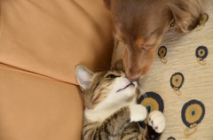 maru＆loco