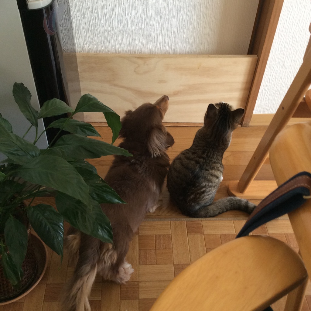 扉が開く のを二人で待ってます