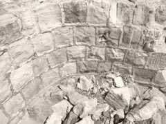 R0010767