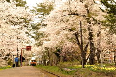旅路
