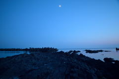 日本海の岩肌
