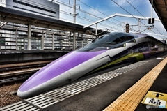 500 TYPE EVA