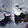 氷の表面