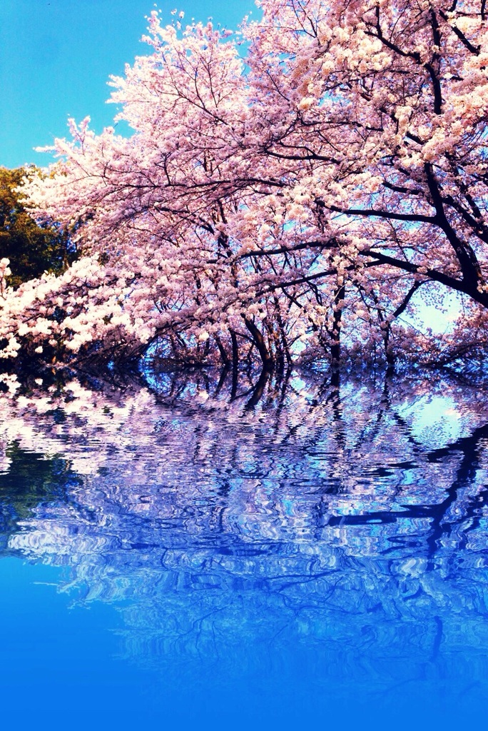 最後の春