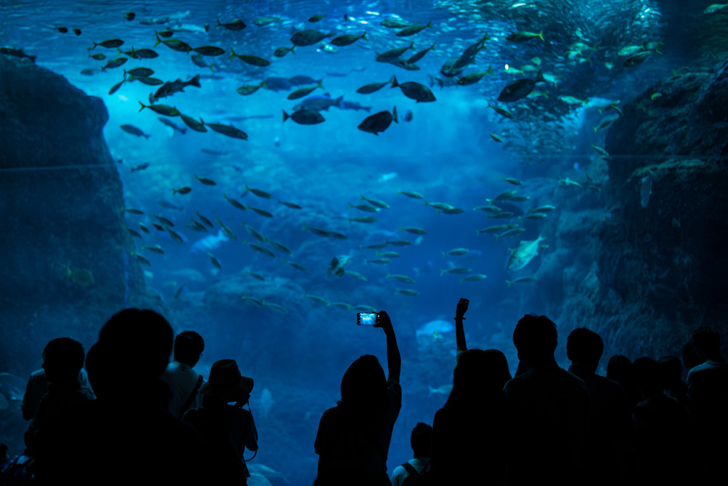 Aquarium