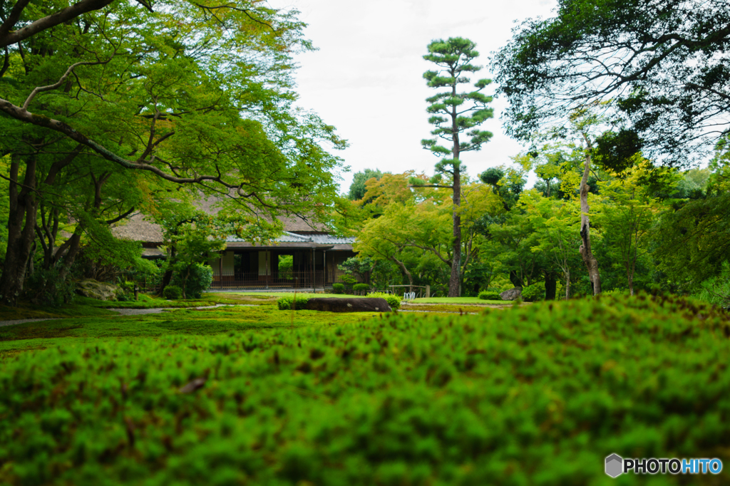 庭園