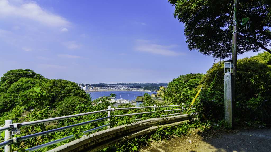 夏の海へ