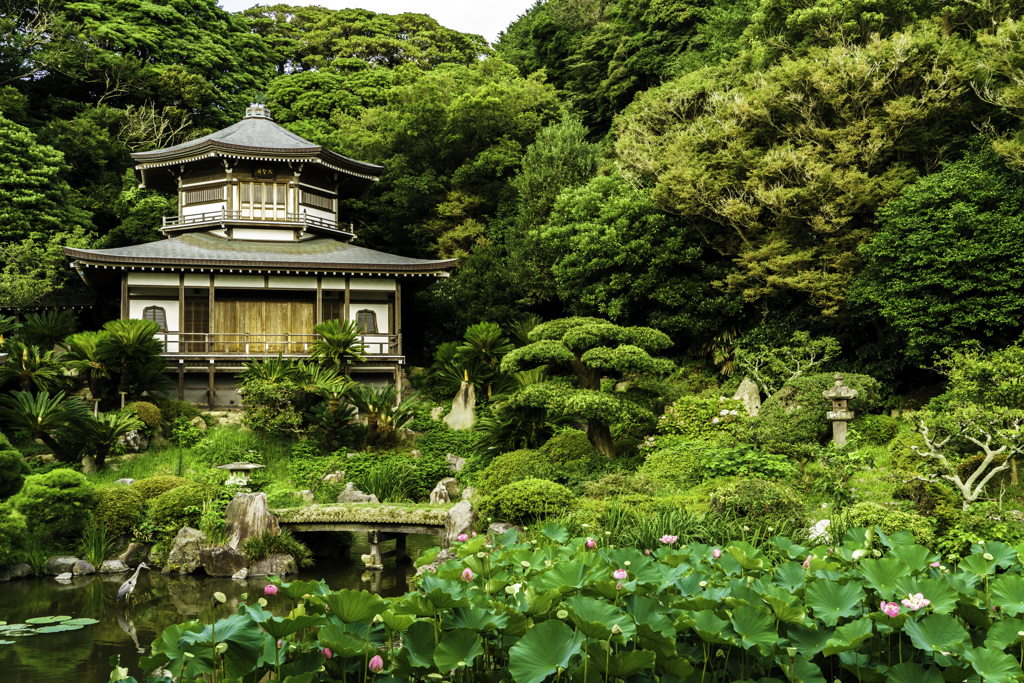 庭園