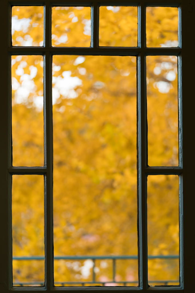 frame