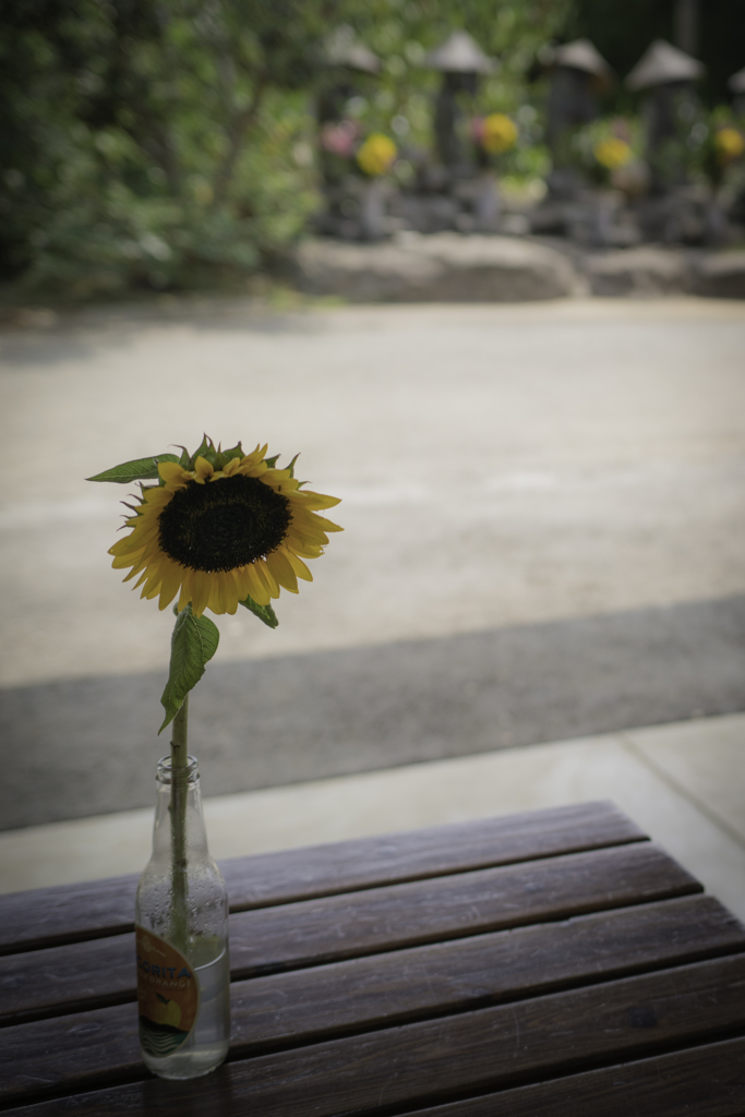 夏の終わり