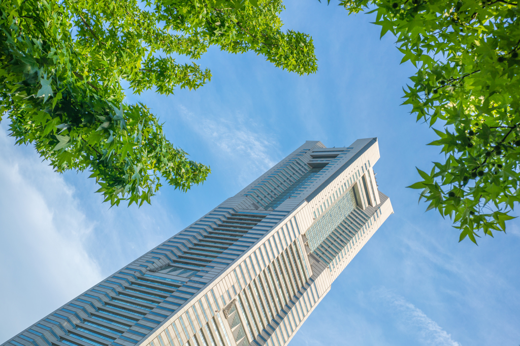 tower
