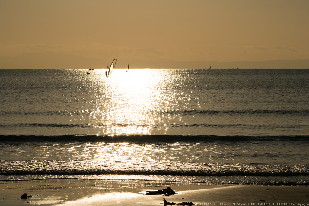 diffuse reflection