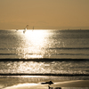 diffuse reflection