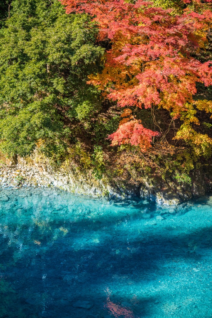 三色