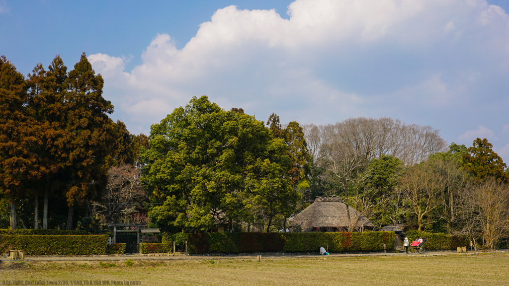 嵯峨野