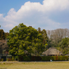 嵯峨野