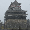 雪の天守閣