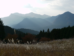 ススキと山なみ