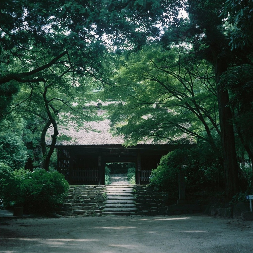 古刹山門