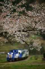 奥出雲の春