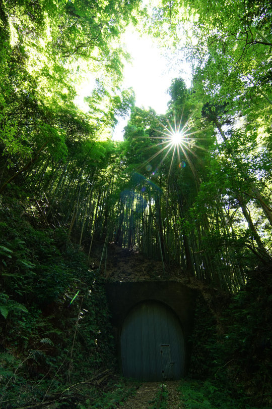 廃線探訪　～空と地の入口～