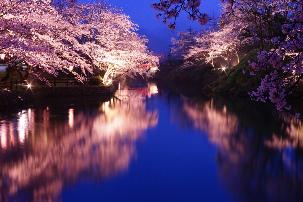 瑠璃に浮かぶ