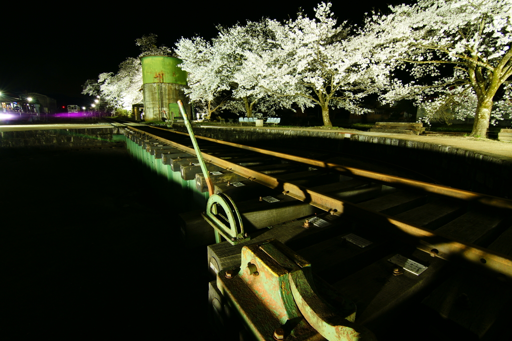 若桜　Night