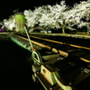 若桜　Night