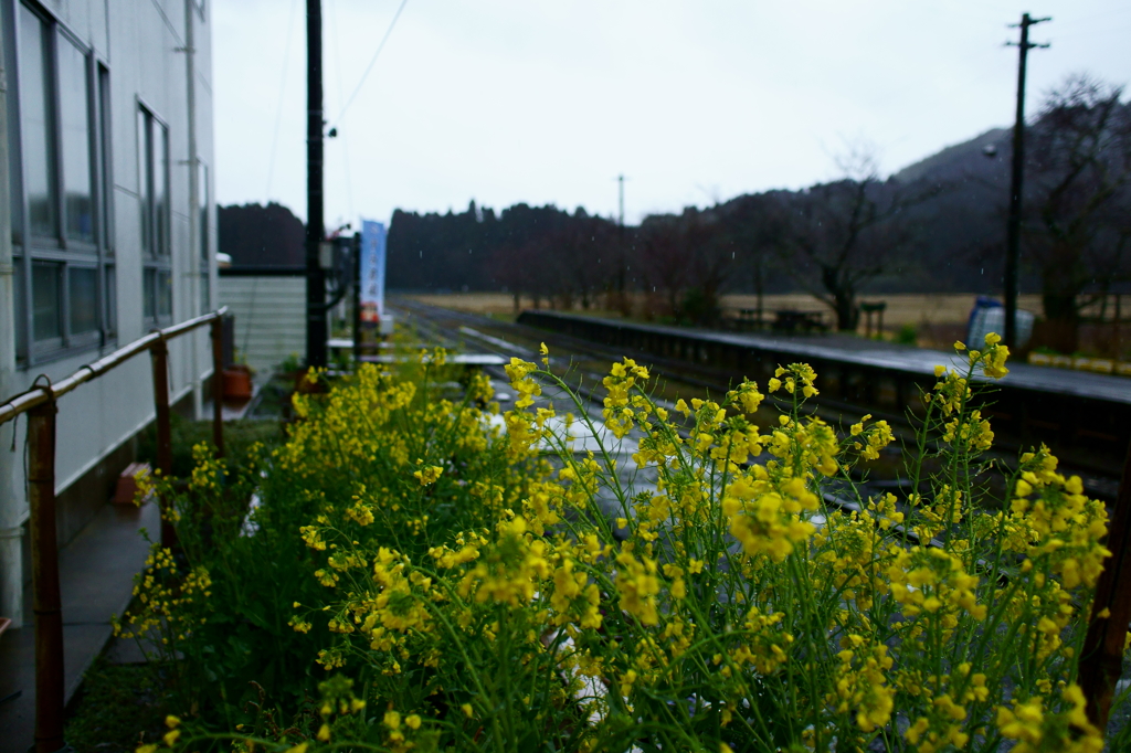 いすみ鉄道 国吉駅にて