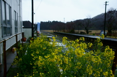 いすみ鉄道 国吉駅にて