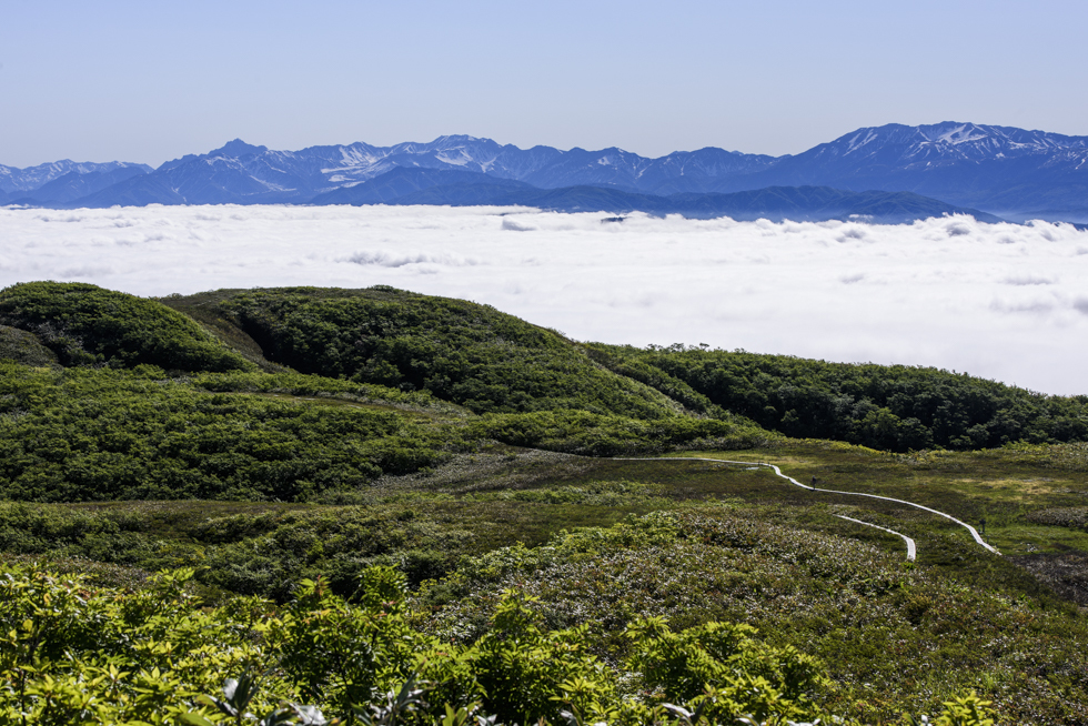 白木峰