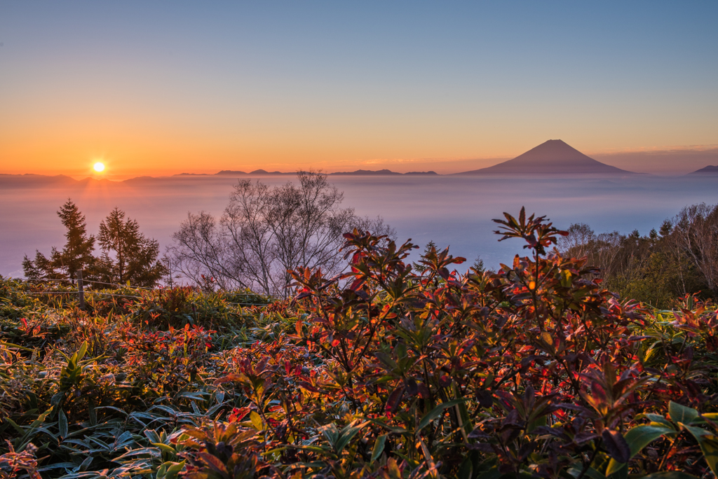 朝日に染まる