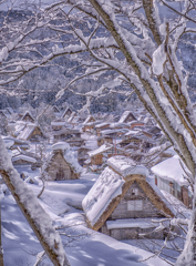 白川郷雪景色