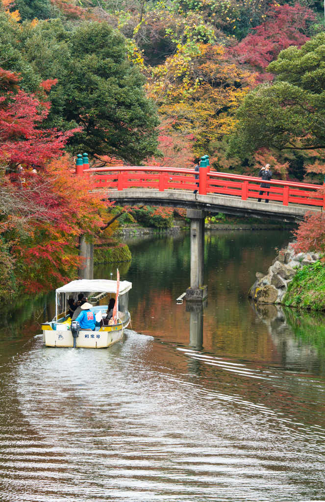 高岡古城公園の紅葉