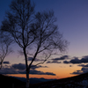 夕暮れ