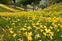 花園