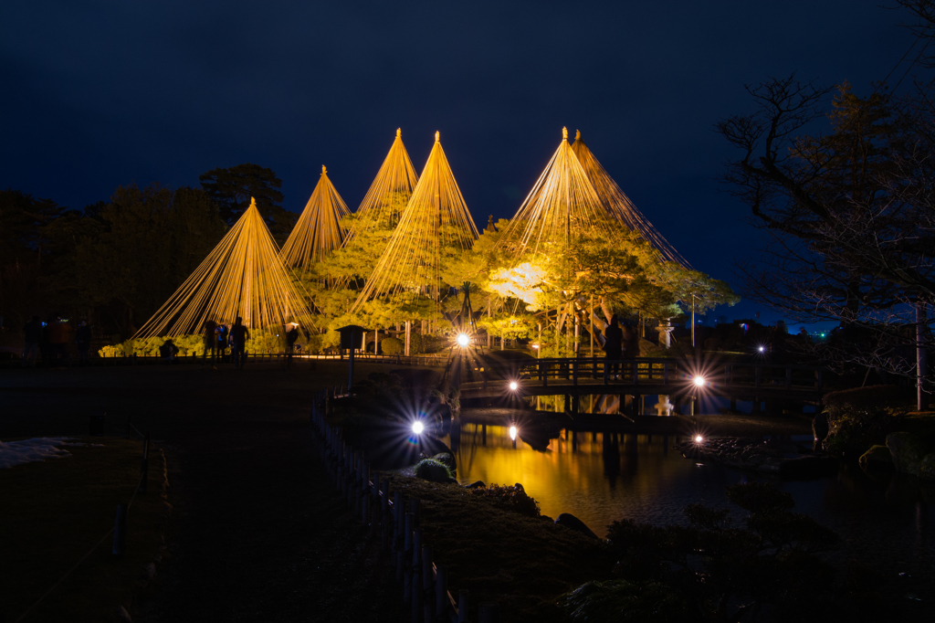 兼六園ライトアップ　冬の段